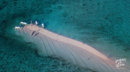 52528718_1942966845829475_1298846553246531584_n.jpg_nc_cat108_nc_htscontent.fmnl4-6